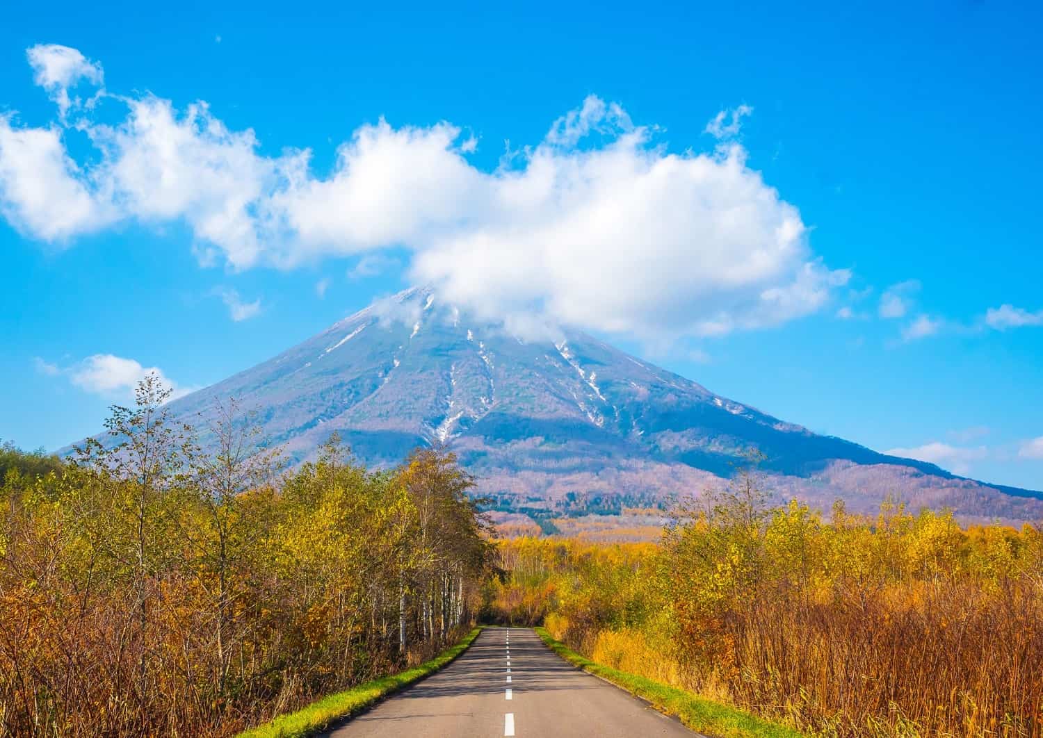 Eine Strasse n Niseko, Hokkaidō im Sommer
