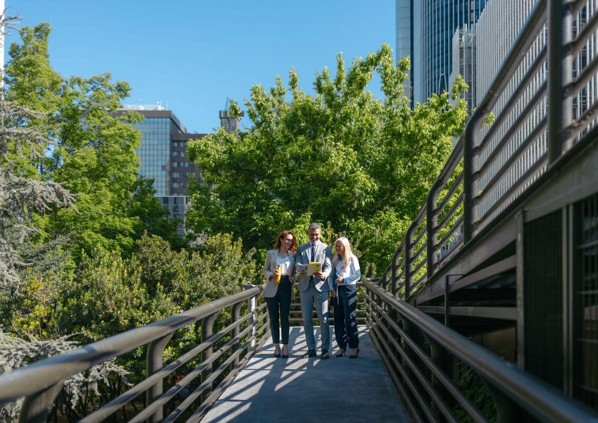 Menschen gehen über eine Brücke im Grünen