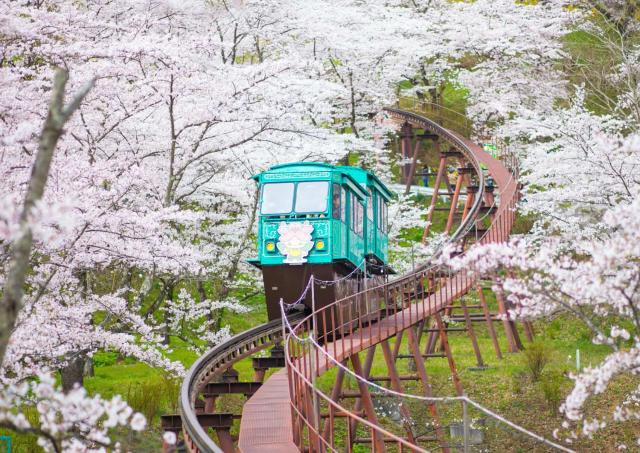 Einschienenbahn im Funaoke Castle Ruin Park, Sendai