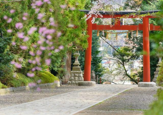 Torii-Tor, Osaki-Hachimangu-Schrein, Sendai