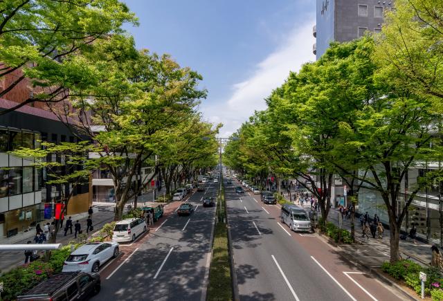 Ometosando-Strasse, Tokio