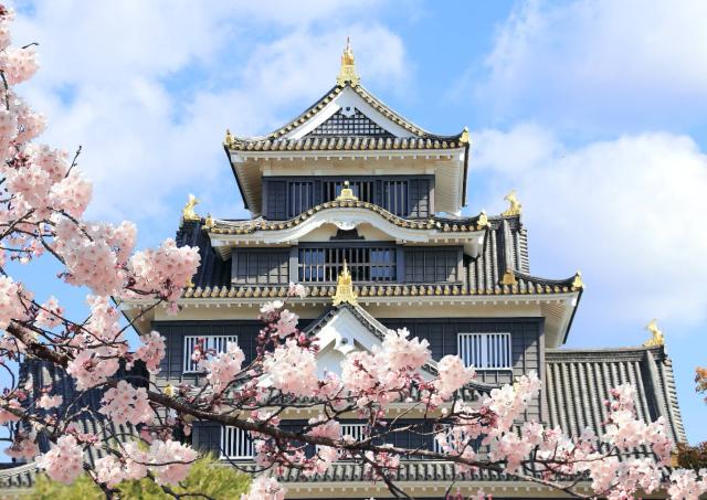 Schloss Osaka
