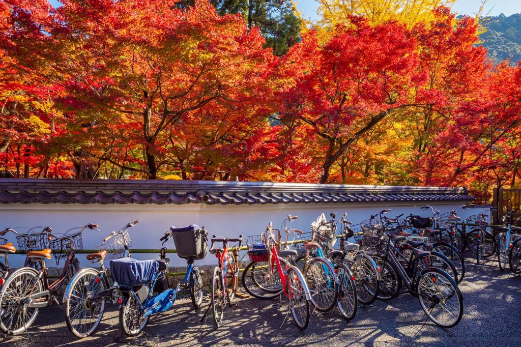 Velos in Kyoto