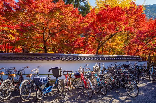 Velos in Kyoto
