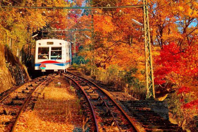 Seilbahnfahrt durch die Berge von Kyoto