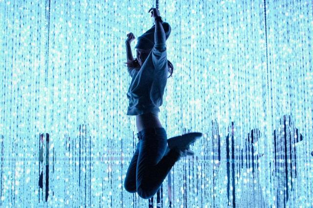 teamLab, Tokio