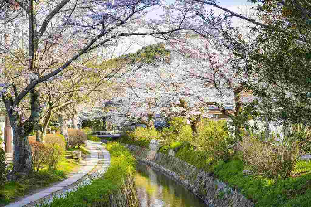 Kyotos Philosophenweg im Frühling    