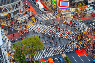 Das legendäre Shibuya Crossing, Tokio 