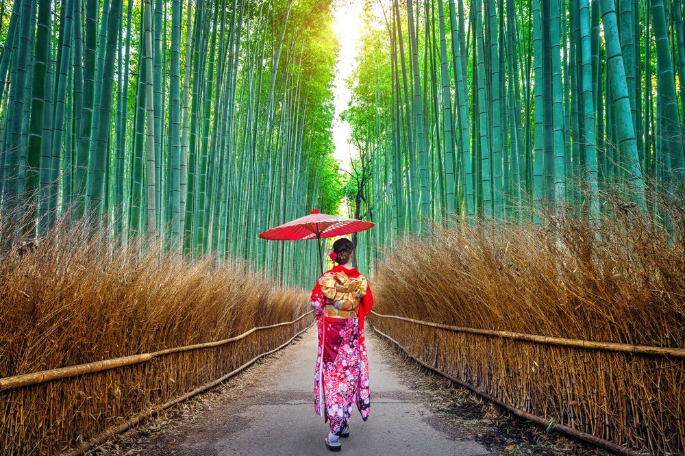 Der Arashiyama-Bambushain, Kyoto 