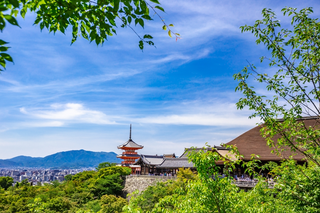 Das Eingangstor der Burg Nijo, Kyoto 