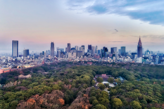 Blick auf Shinjuku und den Park des Meiji-Schreins 