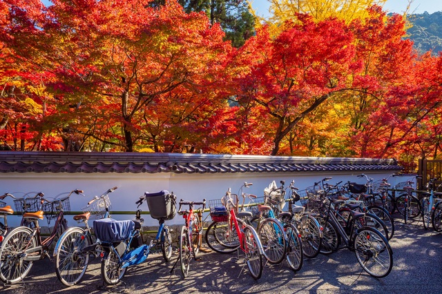 Velos in Kyoto