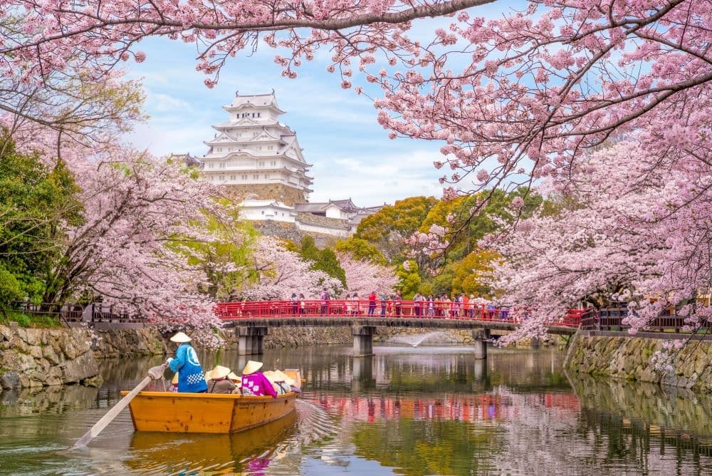 Japan Himeji Burg , White Heron Castle in schönen sakura Kirschblüte Saison