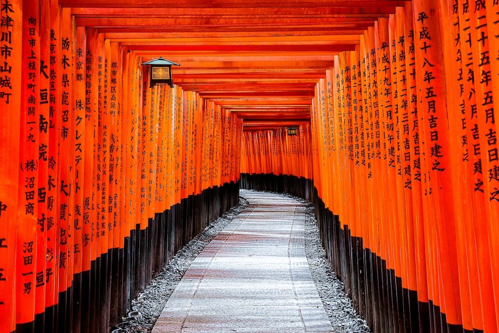 Omotenashi-GottesdienstFushimi-Inari-Schrein in Kyoto, Japan, mit Tausenden von zinnoberroten Torii-Toren