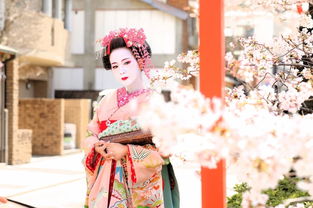 Maiko auf Sakura Strasse mit rosa Regenschirm