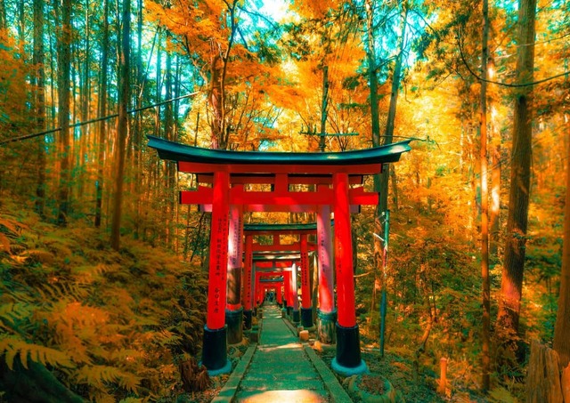 Fushimi-Inari-Schrein, Kyoto 