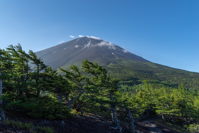 Blick auf den Mt. Fuji von der 5. Station