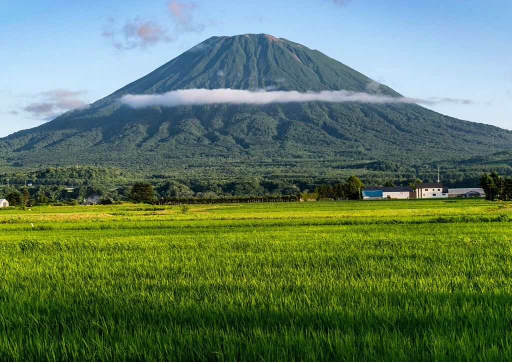 Mt. Yotei mit Reisfeldern, Hokkaido