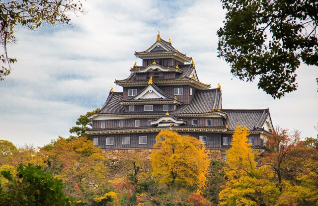 Die Burg von Matsue, eingerahmt von herbstlichen Bäumen 