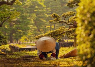 Gärtner bei der Arbeit im Kenrokuen-Garten, Kanazawa 
